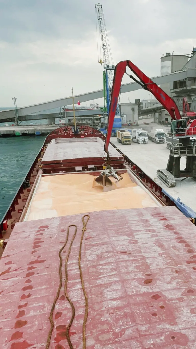 Unloading the ship